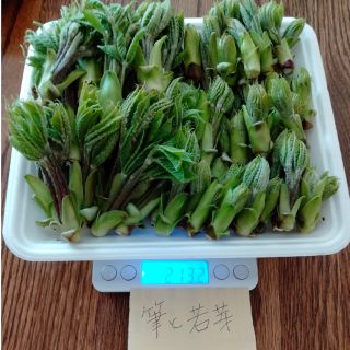 トマト様専用(野菜)