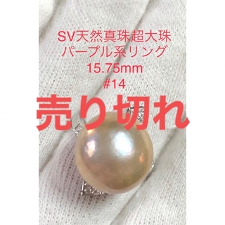 SV天然真珠　超大珠リング　15.75mm #14(リング(指輪))