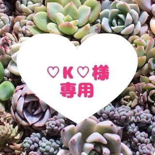 ♡K♡いきなり申請✖様専用(各種パーツ)