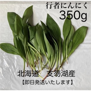 新鮮！行者にんにく　アイヌネギ　350g(野菜)