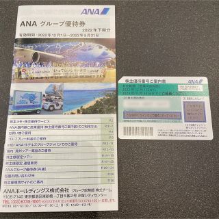 エーエヌエー(ゼンニッポンクウユ)(ANA(全日本空輸))のANA株主優待件とグループ優待券(その他)