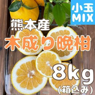 木成り晩柑 優良品 小玉MIX8kg(フルーツ)