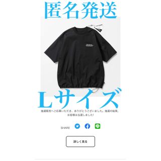 ダイワ(DAIWA)のENNOY DAIWA PIER39 Tech Drawstring Tee L(Tシャツ/カットソー(半袖/袖なし))