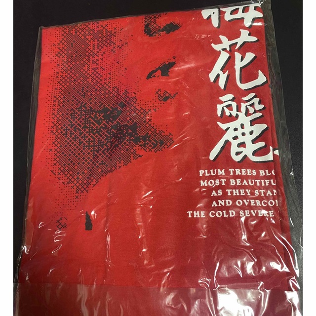 広島東洋カープ　Tシャツ スポーツ/アウトドアの野球(記念品/関連グッズ)の商品写真