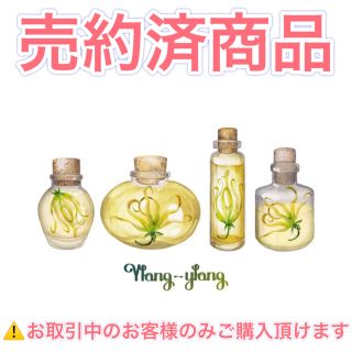 ネロリ2本、イランイラン1本、サンダルウッド1本の計4本セット10ml オマケ付(エッセンシャルオイル（精油）)