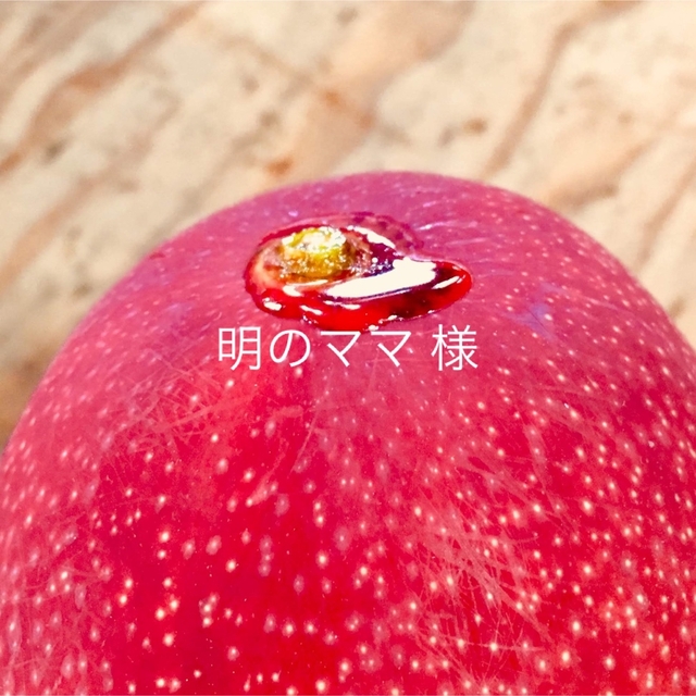 宮崎県産 完熟マンゴー 1.5kg 食品/飲料/酒の食品(フルーツ)の商品写真