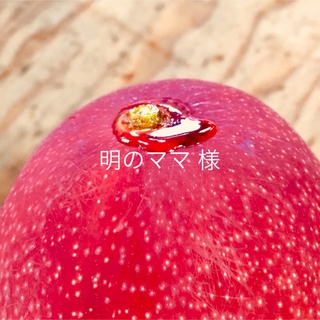 宮崎県産 完熟マンゴー 1.5kg(フルーツ)