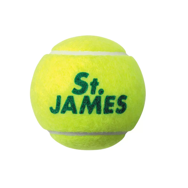 DUNLOP(ダンロップ)の【新品】ダンロップ セントジェームス テニスボール 15缶/60球 スポーツ/アウトドアのテニス(ボール)の商品写真
