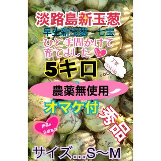 【農家直送】『秀品』淡路島新玉ねぎ  農薬無使用・5キロ・オマケあり❣︎(野菜)