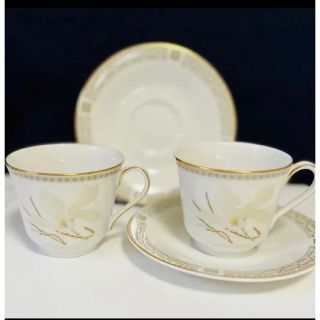 ロイヤルドルトン(Royal Doulton)のロイヤルドルトン  WHITE NILE ティーカップ＆ソーサー 2客(食器)