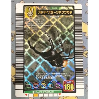 メール便指定可能 ムシキング ブルマイスターツヤクワガタ 2004 夏限定