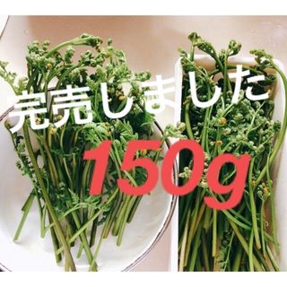 夜採り  天然わらび150g　茨城県産　山菜　新鮮　天然　無農薬　国産　初物(野菜)