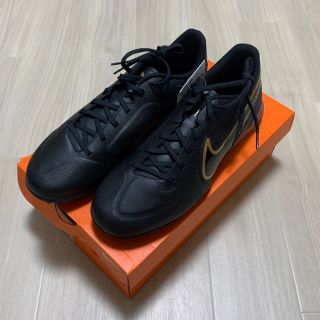 ナイキ(NIKE)の【新品箱付】NIKE ナイキ トレーニングシューズ 28.5cm(シューズ)