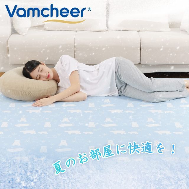 【数量限定】Vamcheer ラグ カーペット 夏用 ラグマット 低反発 接触冷 6