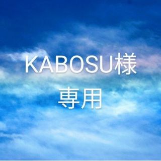 KABOSU様専用(ランチボックス巾着)