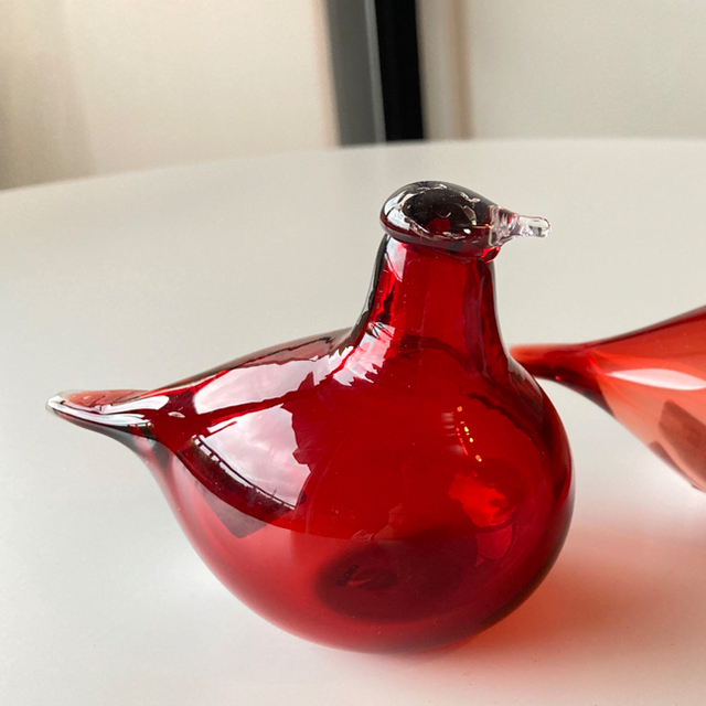 リトルターン クランベリー トレンド 8330円引き www.gold-and-wood.com