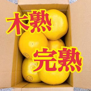 木熟　完熟　メロゴールド　　大玉(フルーツ)