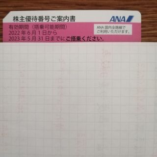 エーエヌエー(ゼンニッポンクウユ)(ANA(全日本空輸))のANA 株主優待券一枚　有効期限2023年5月31日(その他)