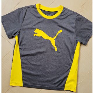 プーマ(PUMA)のPUMA　140㎝　Tシャツ(Tシャツ/カットソー)