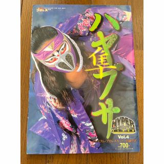 【値下げ！】FMW ハヤブサ　特集冊子(格闘技/プロレス)