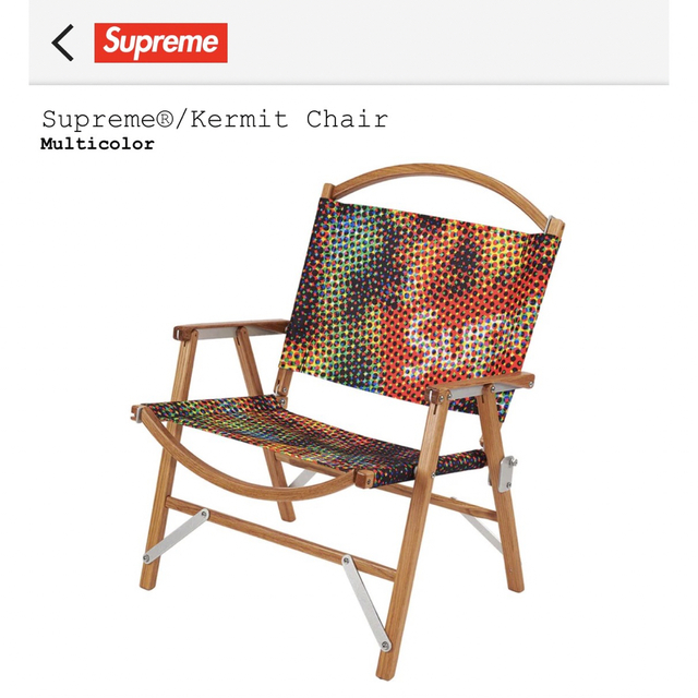 Supreme(シュプリーム)のSupreme Kermit Chair シュプリーム カーミットチェア スポーツ/アウトドアのアウトドア(テーブル/チェア)の商品写真