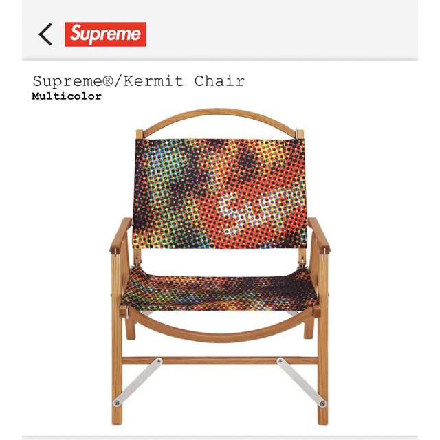 Supreme(シュプリーム)のSupreme Kermit Chair シュプリーム カーミットチェア スポーツ/アウトドアのアウトドア(テーブル/チェア)の商品写真