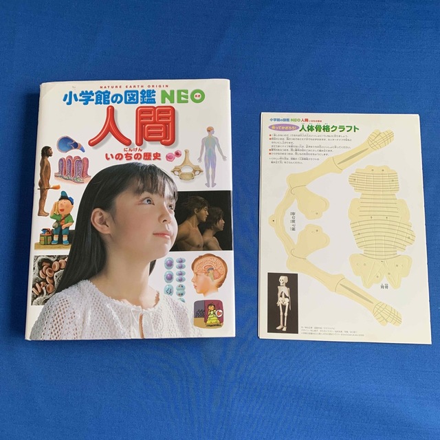 小学館(ショウガクカン)のにんげんいのちの歴史★ 小学館の図鑑NEO★人体骨格クラフト付 エンタメ/ホビーの本(絵本/児童書)の商品写真