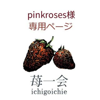 pinkroses様 専用ページ★(印刷物)