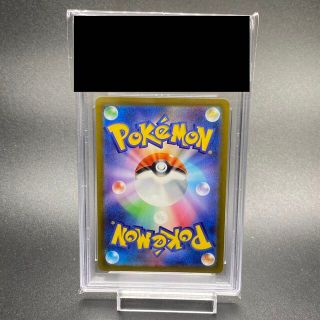 ポケモン - PSA10 ツツジ SAR 242/172の通販 by magi 公式出品