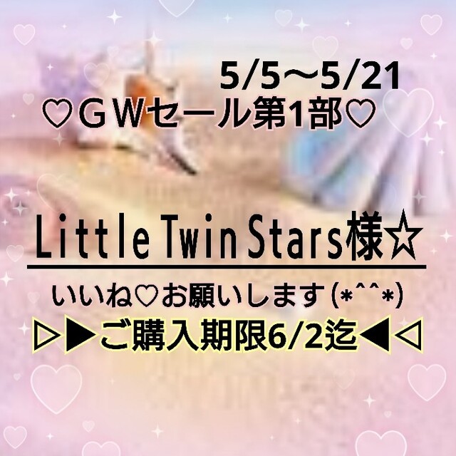 84♥Little Twin Stars様 ⭕399円キャラクターチャーム 偉大な 51.0