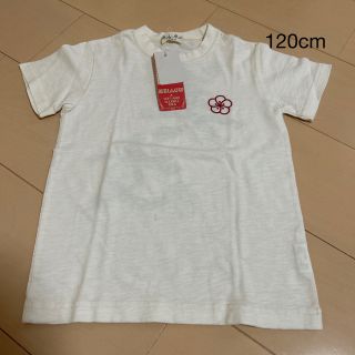 ミアリーメール(MIALY MAIL)の未使用品　mialy mail 半袖　Tシャツ　120 女の子(Tシャツ/カットソー)