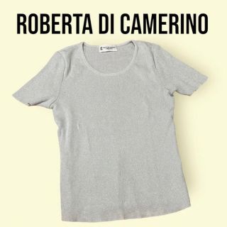 ロベルタディカメリーノ(ROBERTA DI CAMERINO)のroberta di camerino ロベルタディカメリーノ　半袖　カットソー(カットソー(半袖/袖なし))