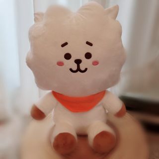 ビーティーイシビル(BT21)のBT21 RJ　ぬいぐるみ(K-POP/アジア)