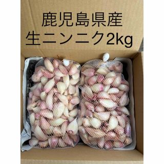 生ニンニク2kg  鹿児島県産(野菜)