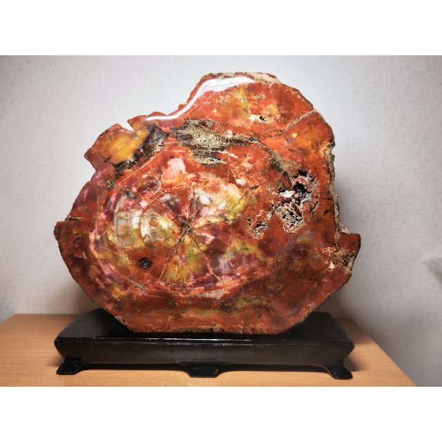 アリゾナ珪化木 14.kg 珪化木 ジャスパー 碧玉 鑑賞石 原石 自然石 化石