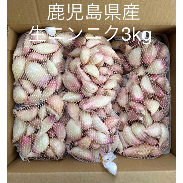 生ニンニク3kg  鹿児島県産 食品/飲料/酒の食品(野菜)の商品写真