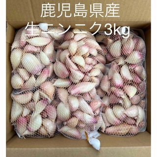 生ニンニク3kg  鹿児島県産(野菜)