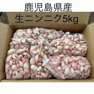 生ニンニク5kg  鹿児島県産(野菜)