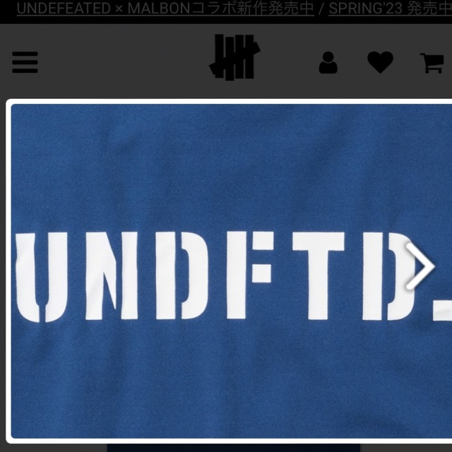 UNDEFEATED(アンディフィーテッド)のUNDEFEATED Lサイズ　半袖　カットソー　ブルー メンズのトップス(Tシャツ/カットソー(半袖/袖なし))の商品写真