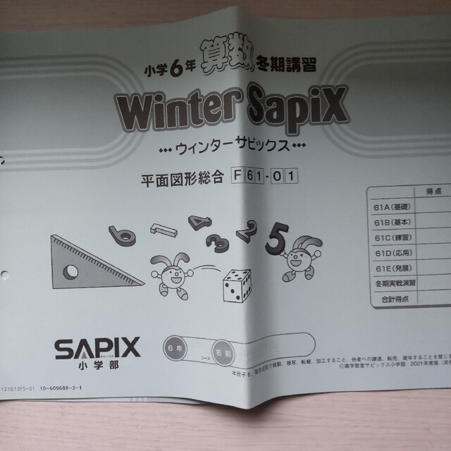 Daily/Spring/Summer/Winter Sapix小6算数
