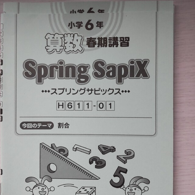 Daily/Spring/Summer/Winter Sapix小6算数