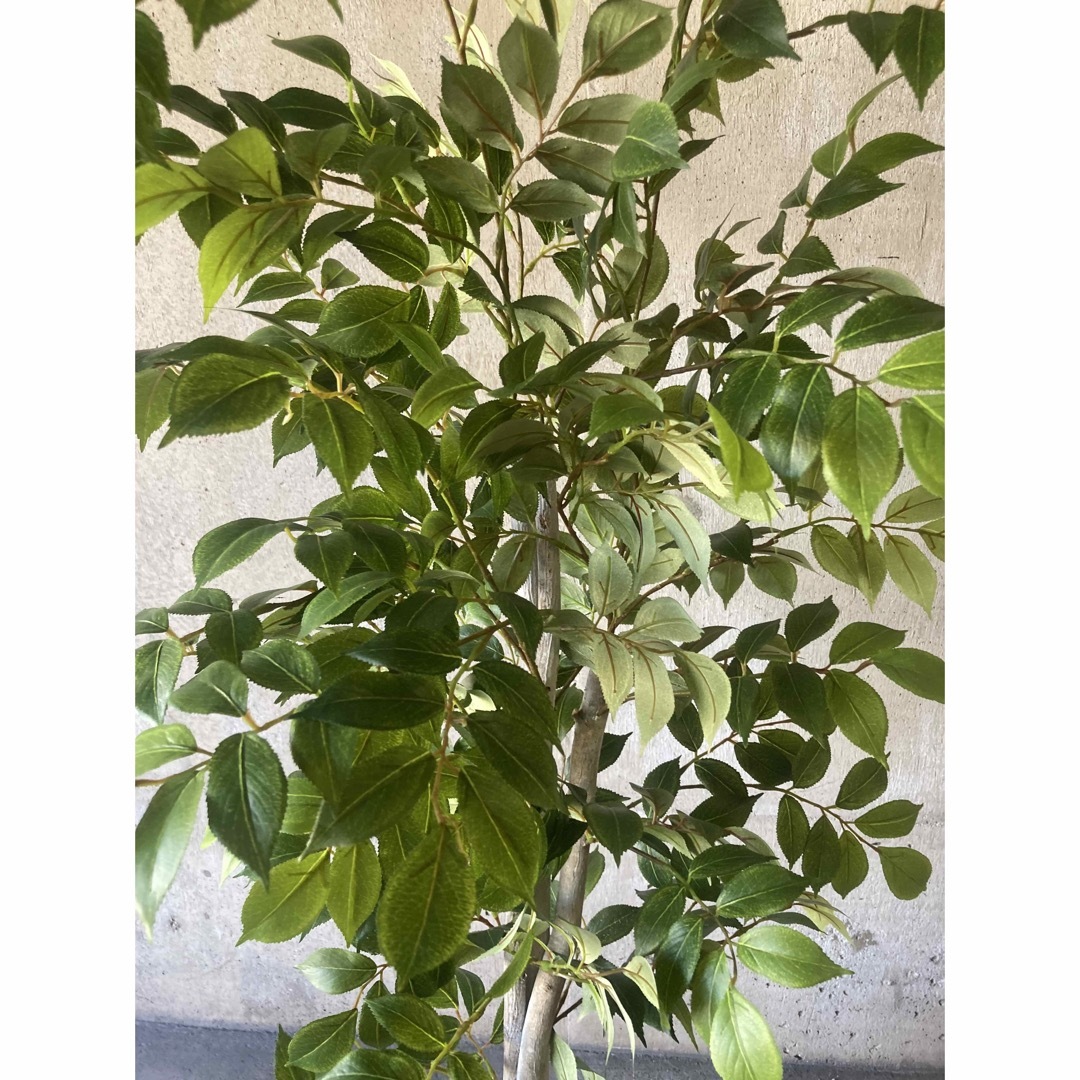 光触媒 人工観葉植物 ウォールグリーン フェイクグリーン マウンテン