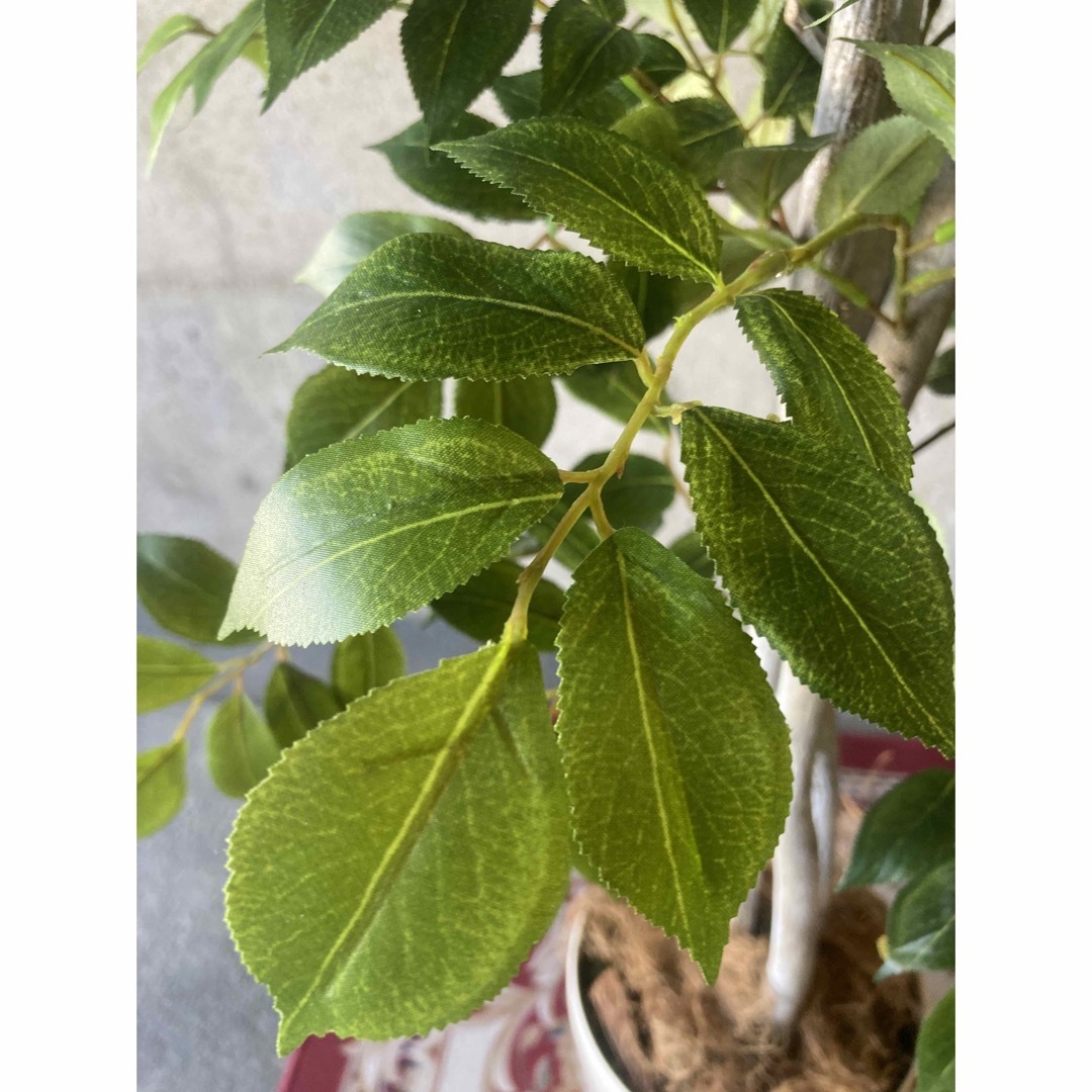 光触媒 人工観葉植物 ウォールグリーン フェイクグリーン マウンテン