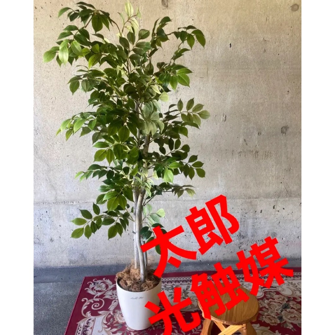 光触媒 人工観葉植物 ウォールグリーン マウンテンアッシュ1.8 植栽付-