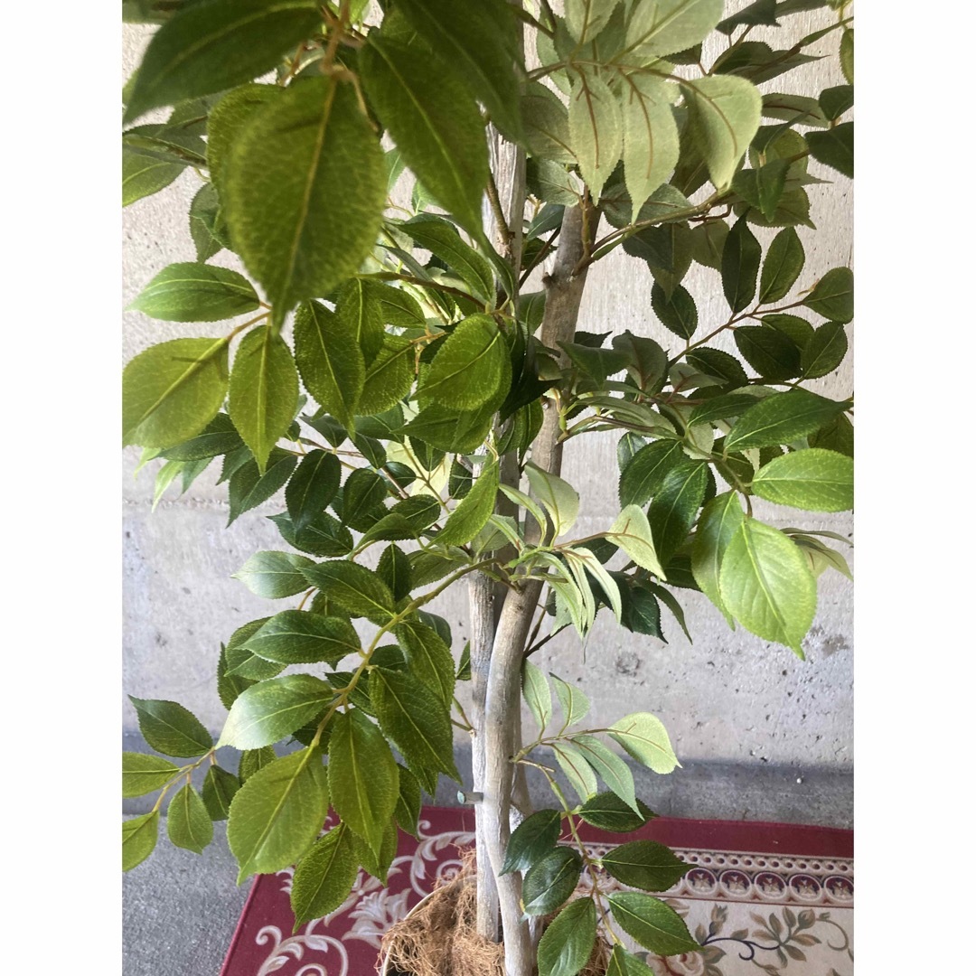 光触媒 人工観葉植物 ウォールグリーン フェイクグリーン マウンテン