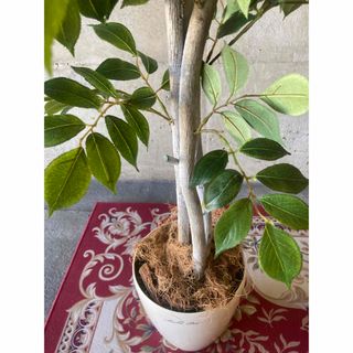 光触媒 人工観葉植物 ウォールグリーン フェイクグリーン マウンテン