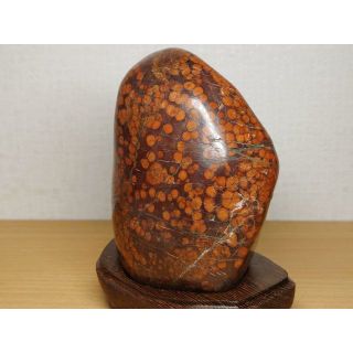 孔雀石 1.1kg 根尾 紋石 赤石 鑑賞石 原石 鉱物 自然石 水石 置物 www