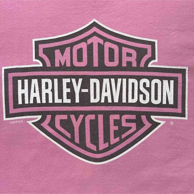 Harley Davidson(ハーレーダビッドソン)のハーレーダビッドソン　Tシャツ ビッグロゴ　ストリート　古着　ピンク　XLサイズ メンズのトップス(Tシャツ/カットソー(半袖/袖なし))の商品写真