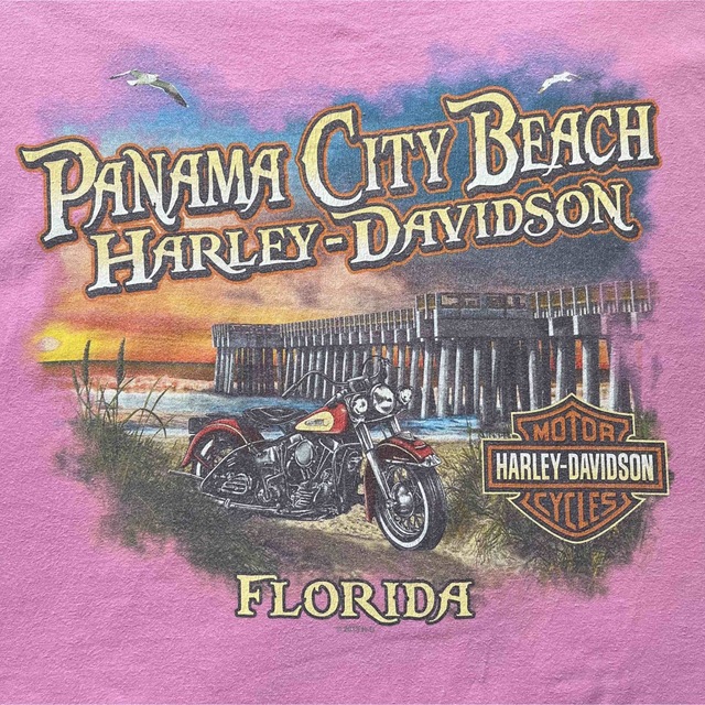 Harley Davidson(ハーレーダビッドソン)のハーレーダビッドソン　Tシャツ ビッグロゴ　ストリート　古着　ピンク　XLサイズ メンズのトップス(Tシャツ/カットソー(半袖/袖なし))の商品写真