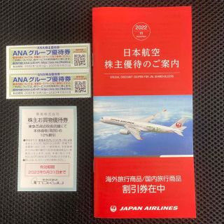 ジャル(ニホンコウクウ)(JAL(日本航空))の【匿名配送】JAL株主ツアー割引券、ANAグループ優待券、東急百貨店(ショッピング)